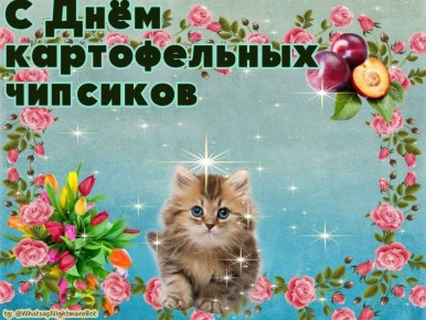 #КорочеПраздники на 23 августа