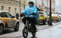 Председатель Совета при Президенте России по развитию гражданского общества и правам человека Валерий Фадеев предложил запретить движение по пешеходным зонам, тротуарам и велопешеходным дорожкам курьерскому транспорту с...