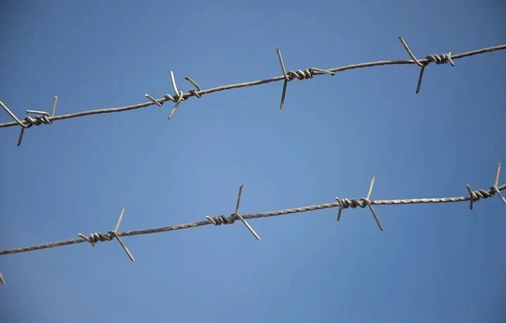 Жительница Новомосковска осуждена на 8,5 лет за попытку передачи наркотиков в колонию