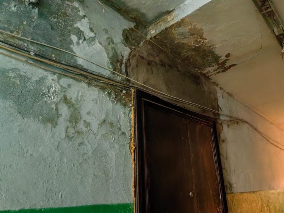 В Ефремове в многоквартирном доме сгнил подъезд: оказалось, что УК не должна делать ремонт, а в ГЖИ проявили чудеса терпеливости