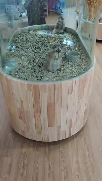 Начинаем утро с забавной подборки сурков