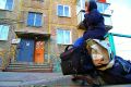 Как квартиранты могут стать мошенниками: случай, который поверг в шок