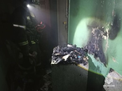 В Тульской области за прошедшие сутки 24 октября