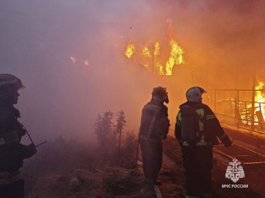 В Тульской области за прошедшие сутки 25 октября