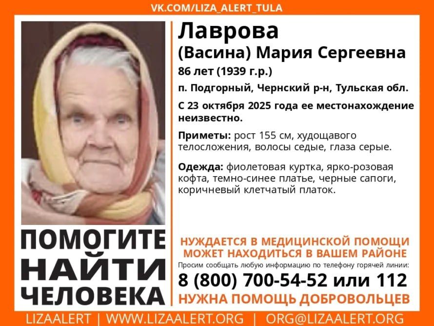 Пенсионерку в клетчатом платке ищут в Тульской области четвертый день