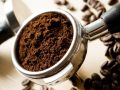Мусор, который обогатит урожай: 6 неожиданных секретов для улучшения почвы