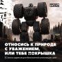Заботимся об экологии: куда бесплатно сдать старые покрышки