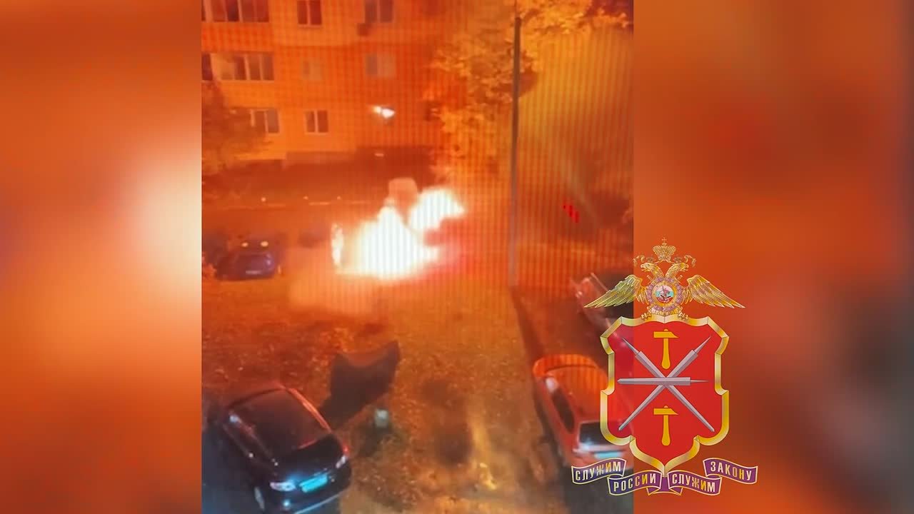 Новомосковец сжег автомобиль пенсионера, оскорбившего его сожительницу