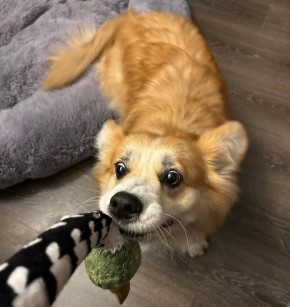 Это Ева. Кажется, она точно знает, как удержать в своей жизни что-то очень важное