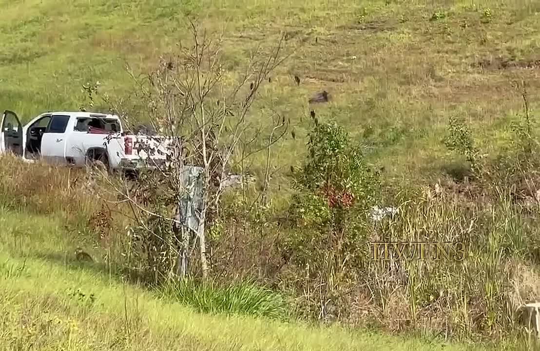 В США из грузовика сбежали обезьяны, зараженные гепатитом С и коронавирусом: