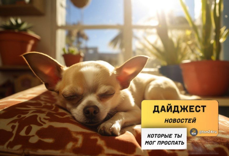 Рассказываем о главных новостях, произошедших в выходные