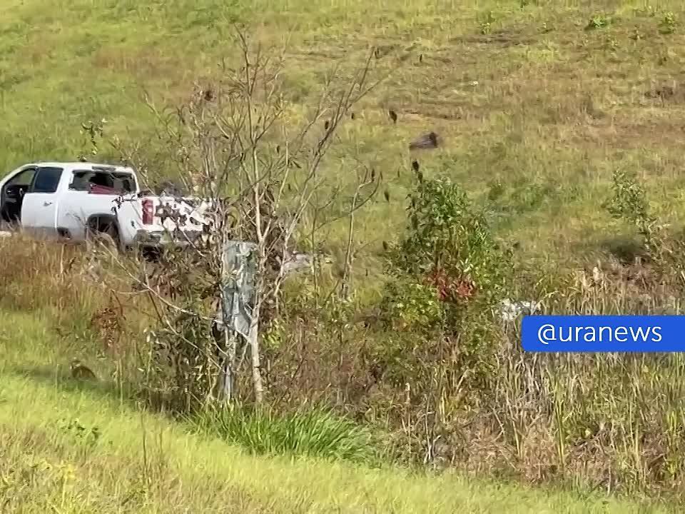 Зараженные гепатитом С и COVID обезьяны разбежались по американскому штату