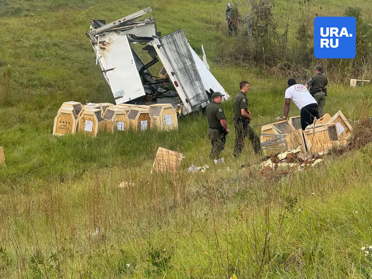 Зараженные гепатитом С и COVID обезьяны разбежались по американскому штату Зараженные гепатитом С и COVID обезьяны разбежались по американскому штату