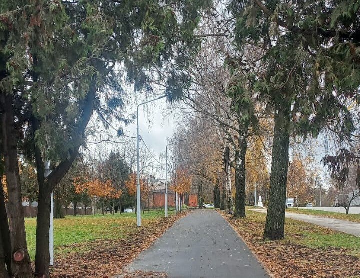 На участке веломаршрута «Лев Толстой» появились фонари уличного освещения На участке веломаршрута «Лев Толстой» появились фонари уличного освещения