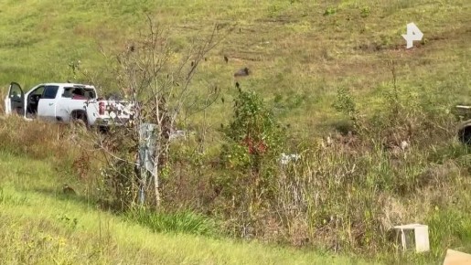 Грузовик, перевозивший "агрессивных" обезьян, перевернулся в США