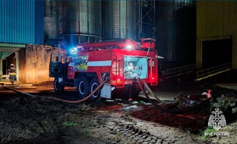 В Тульской области за прошедшие сутки 29 октября