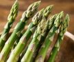 Выращивание спаржи на своем участке