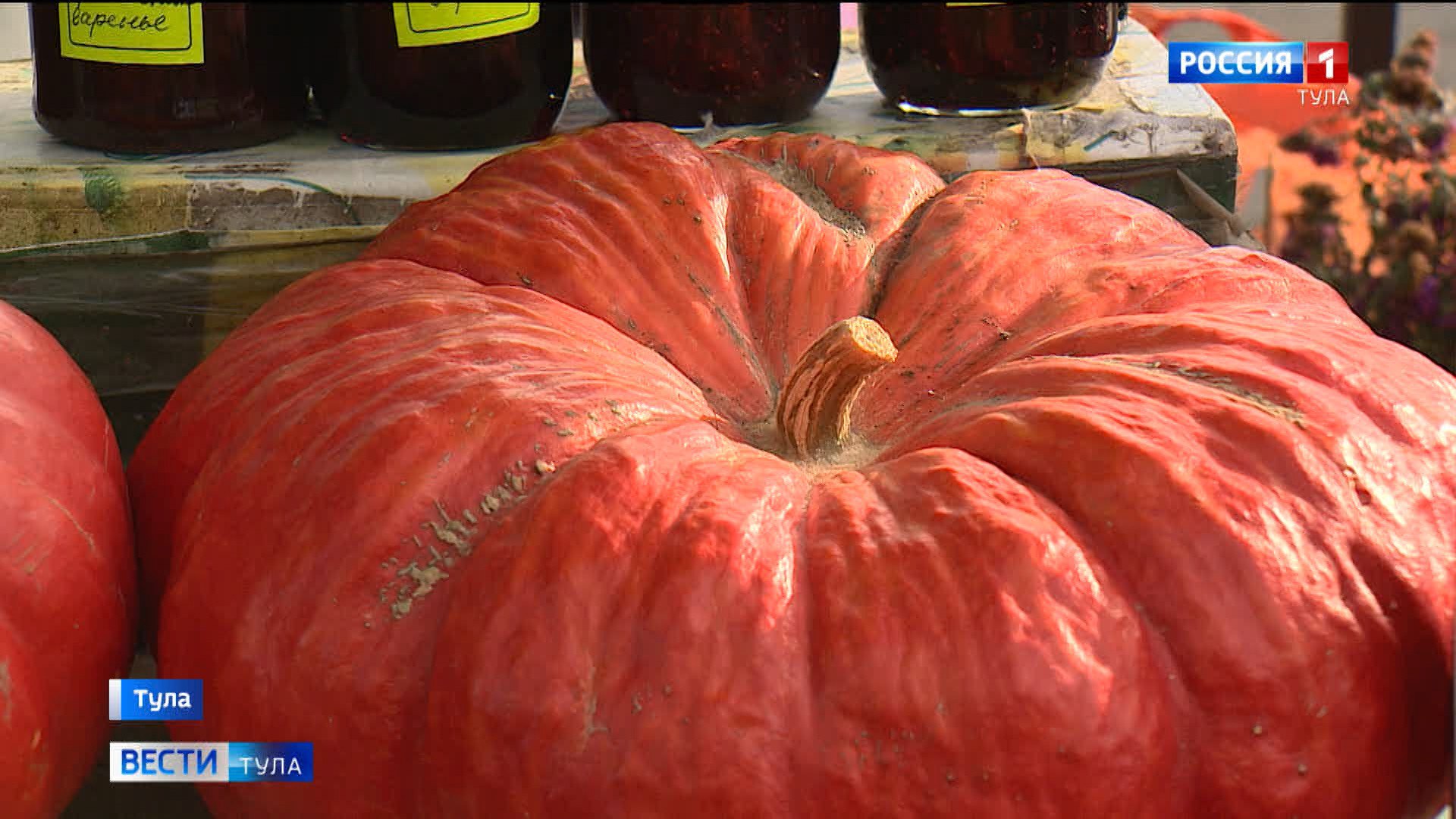 Жуткие последствия: юрист рассказал, какая хэллоуинская атрибутика может обернуться штрафом
