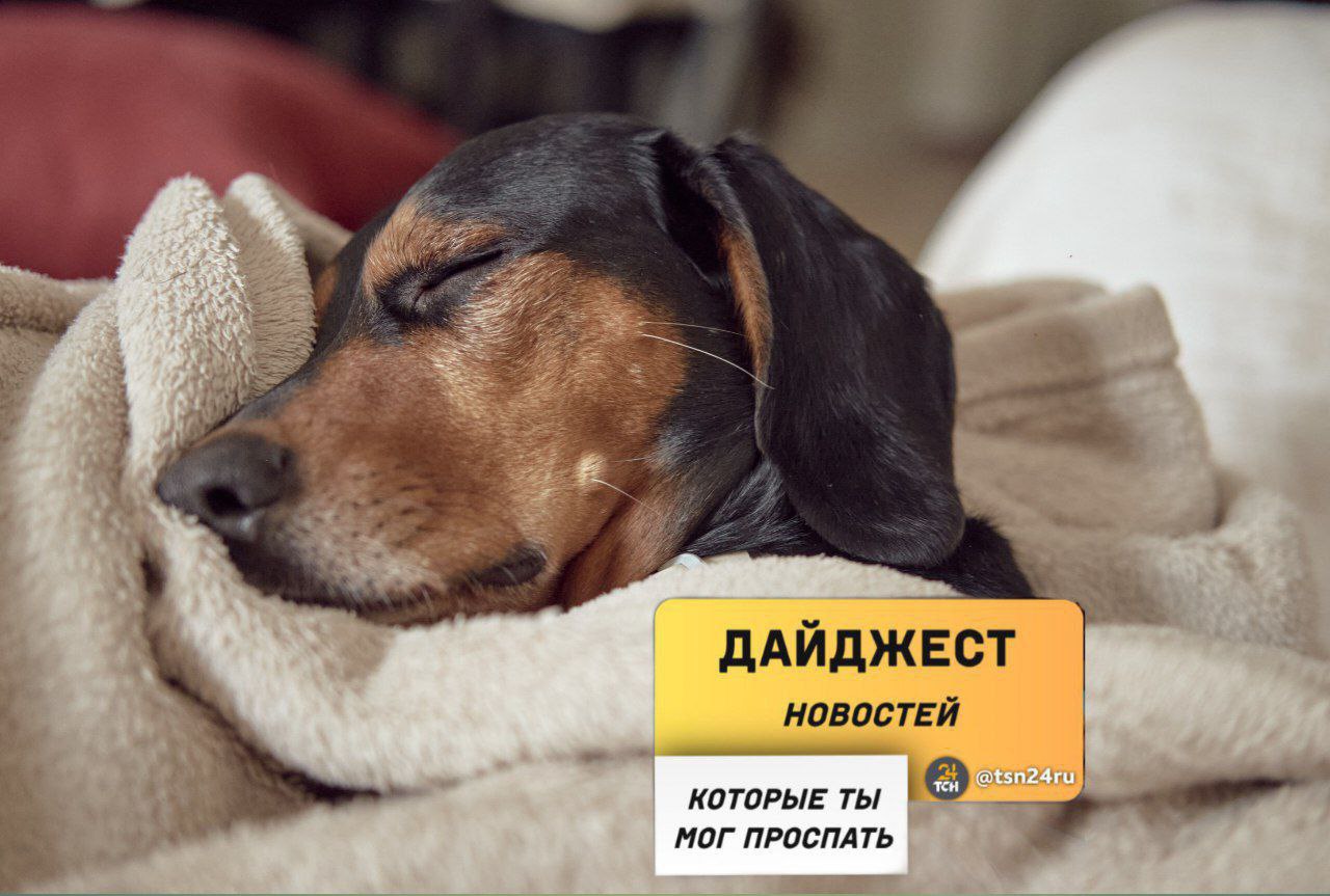 Рассказываем о главных новостях, произошедших в выходные