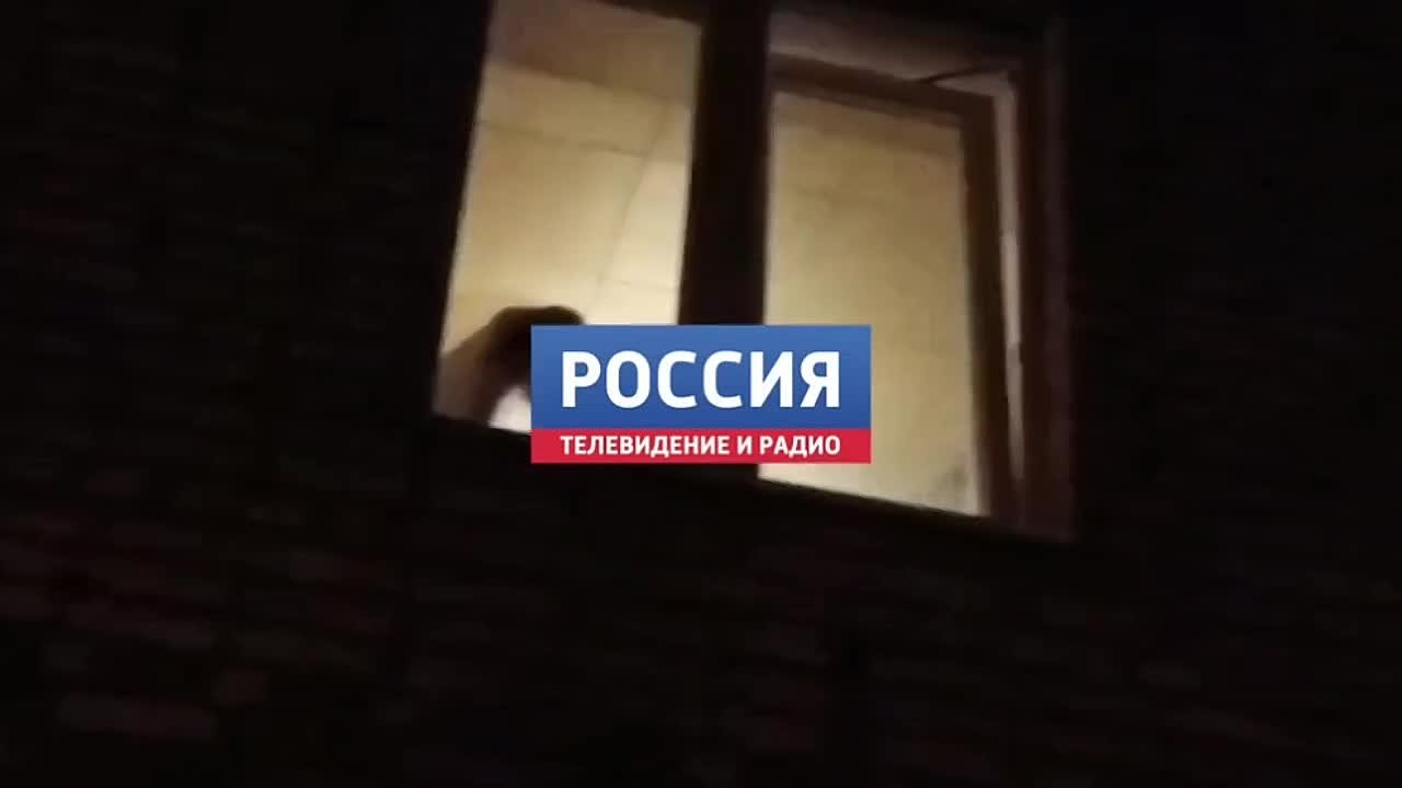 #подписчики_жалуются. Не повезло с соседями: в однушке 17 собак и 5 кошек Житель Алексина пожаловался в редакцию тульских «Вестей» на шумных соседей