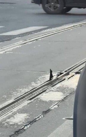 Жители Тулы в последние дни не раз жаловались на проблемы с трамвайными путями на Пролетарском мосту, пишут местные паблики