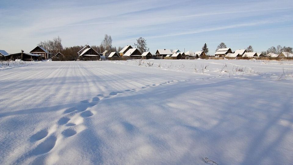 Утаптывание снега: когда это полезно, а когда опасно для растений?