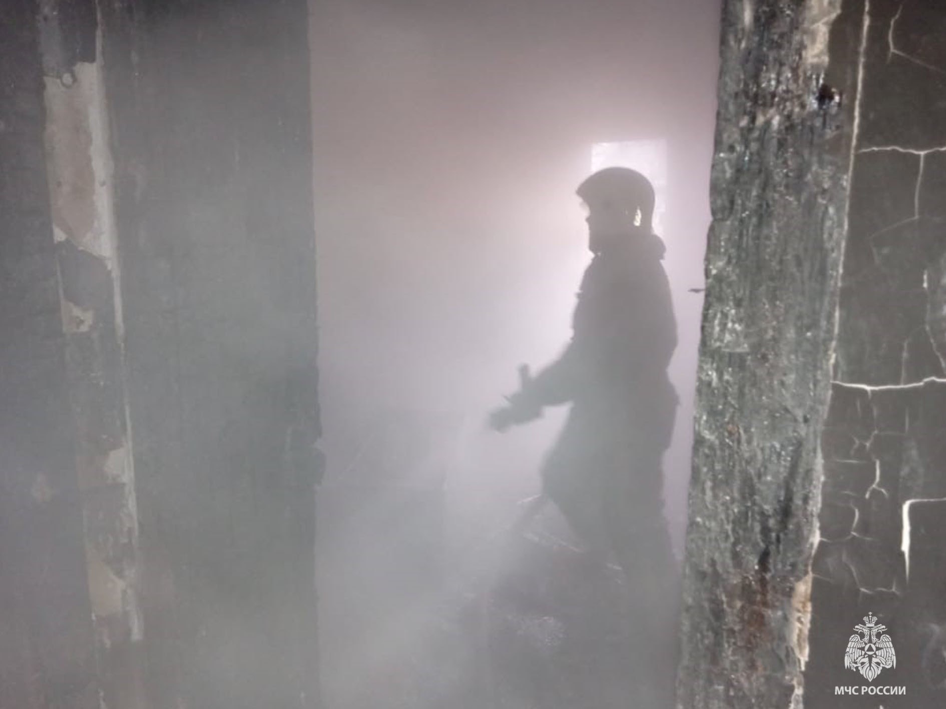 В Тульской области за прошедшие сутки 30 октября В Тульской области за прошедшие сутки 30 октября