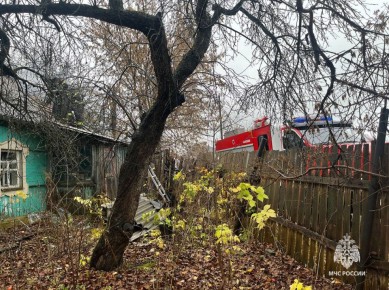 В Тульской области за прошедшие сутки 31 октября