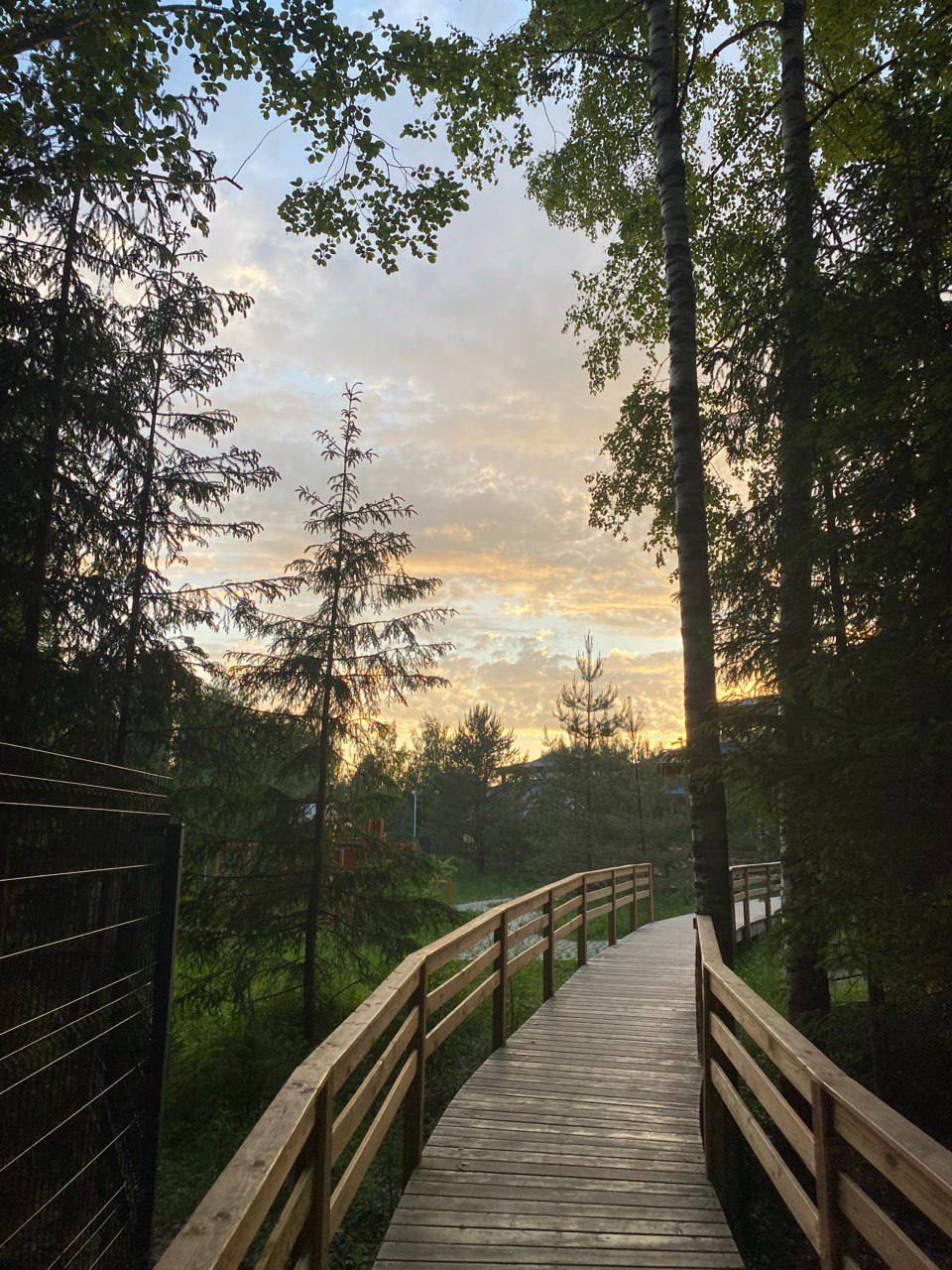 Осеннее преображение: встречаем сезон в гармонии с собой Осеннее преображение: встречаем сезон в гармонии с собой