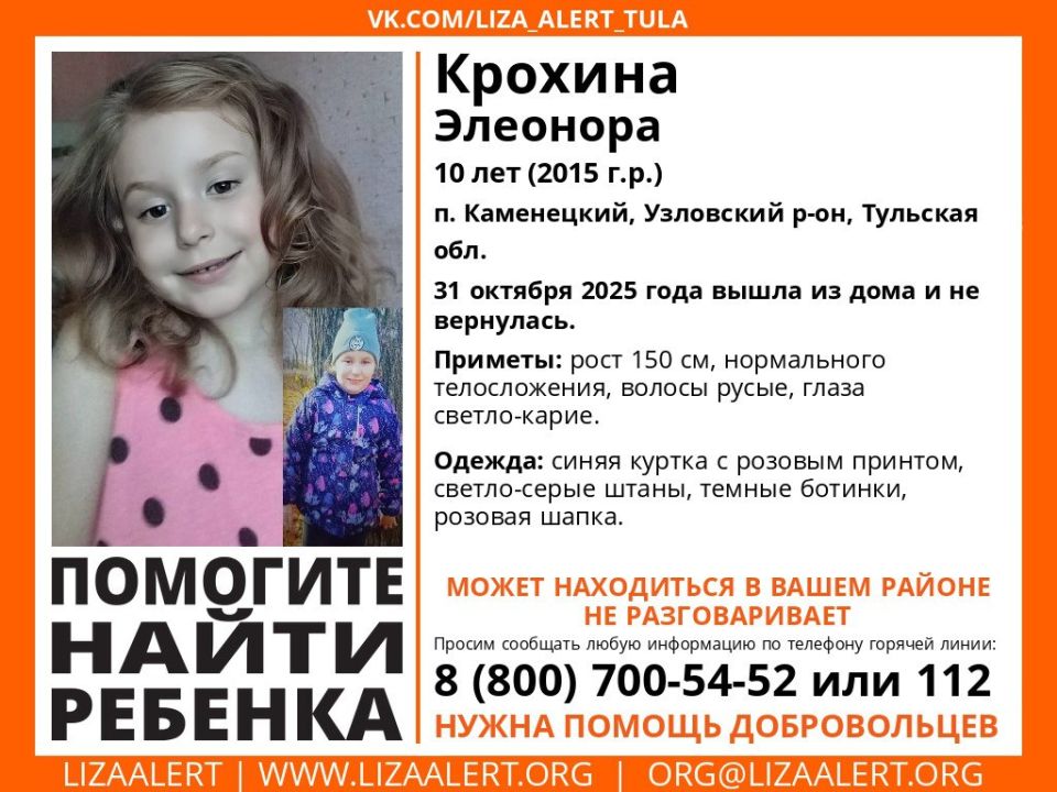 Немая девочка потерялась в Узловском районе