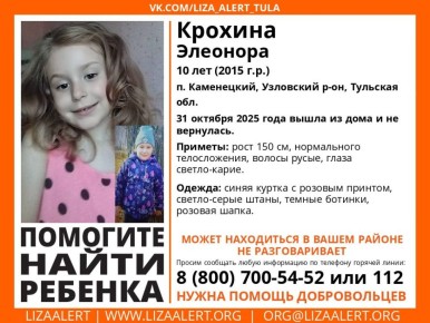 Немая девочка потерялась в Узловском районе