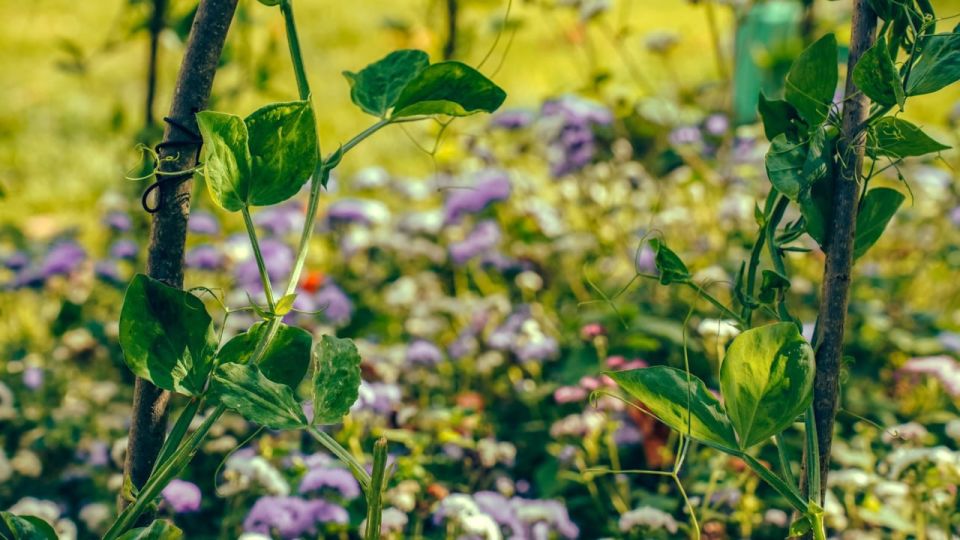 Что приготовила погода для туляков на выходные?