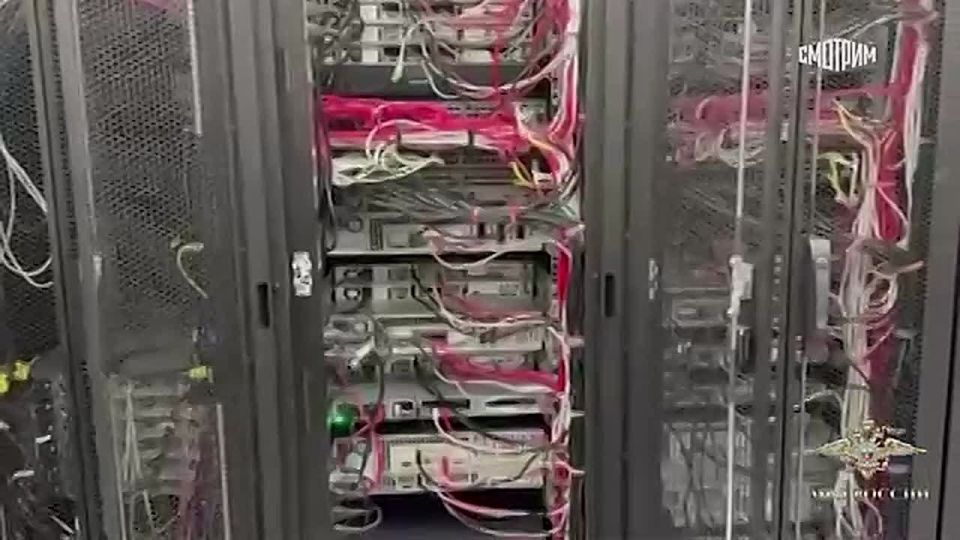 Сотрудники МВД пресекли работу одного из крупнейших русскоязычных Telegram-ботов по распространению персональных данных россиян, сообщила Ирина Волк