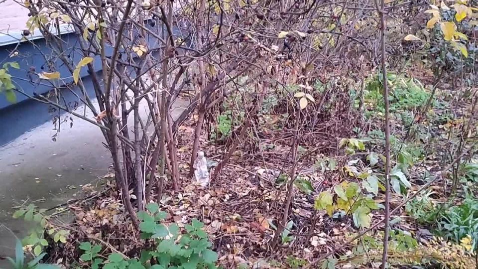 Ужасы тульских хрущевок. Надгробие или статуэтка?