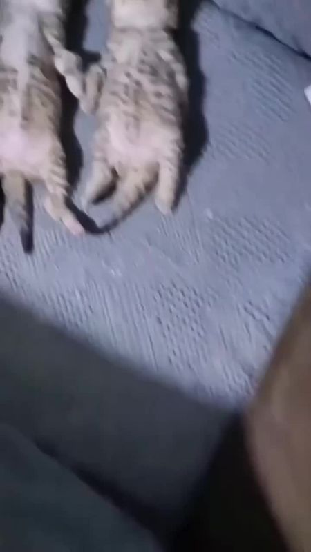 Шёл третий день выходных. - если проводишь их именно так ТСН24 | Прислать Новость | Мы в МАХ