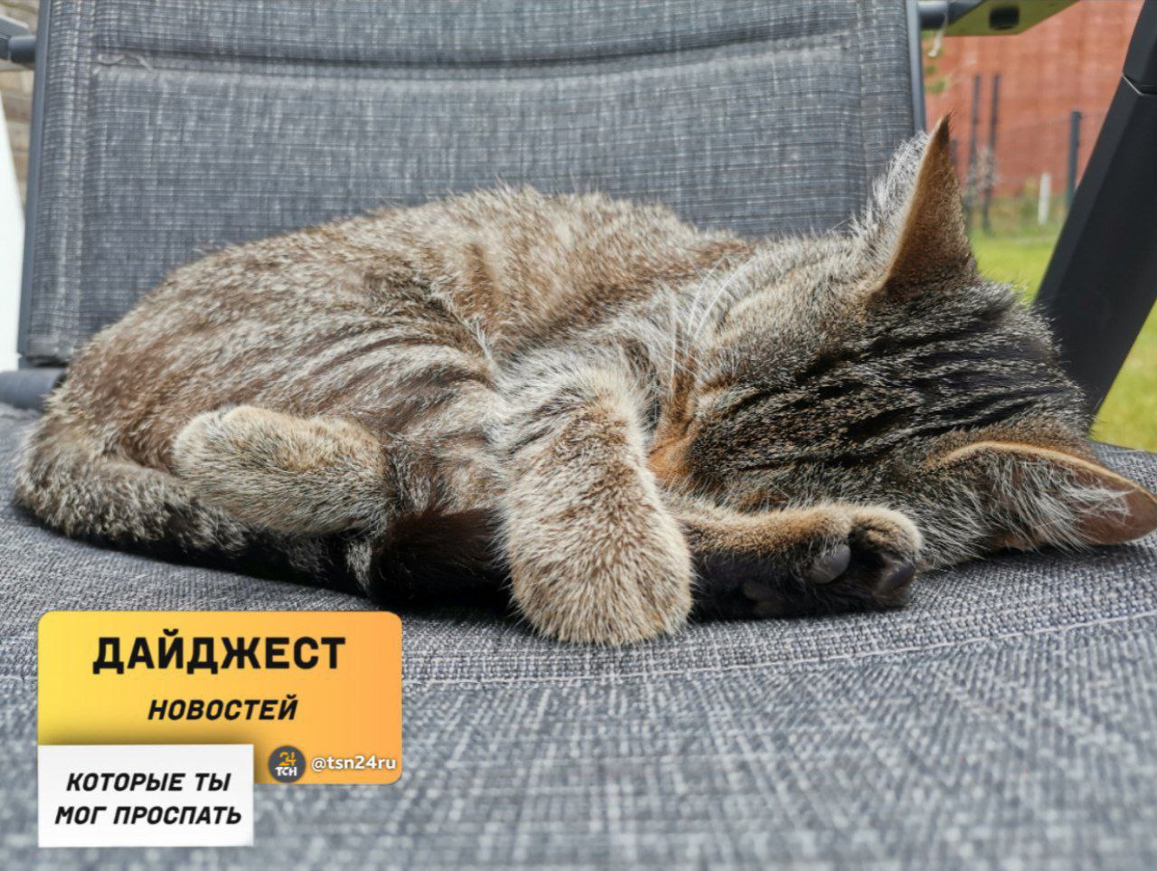 Рассказываем о новостях, которые вы могли пропустить вчера