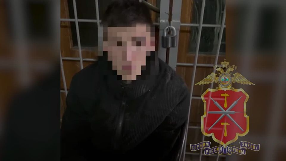 Щёкинскими полицейскими задержан подозреваемый в ограблении местной жительницы