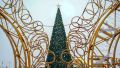 Новогоднюю ель с центральной площади Тулы перенесут в Криволучье?