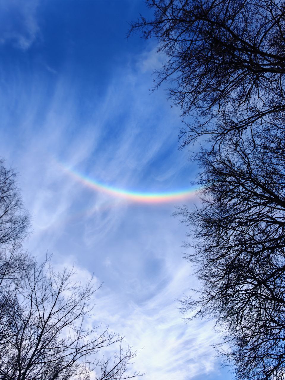 Туляки делятся кадрами редкого явления - зенитная радуга