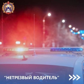 Госавтоинспекция Тульской области призывает водителей отказаться от поездок за рулем в нетрезвом состоянии!