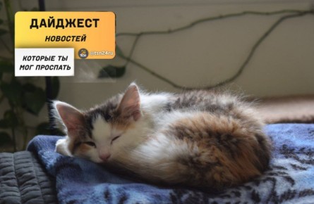 Рассказываем о новостях, которые вы могли пропустить вчера