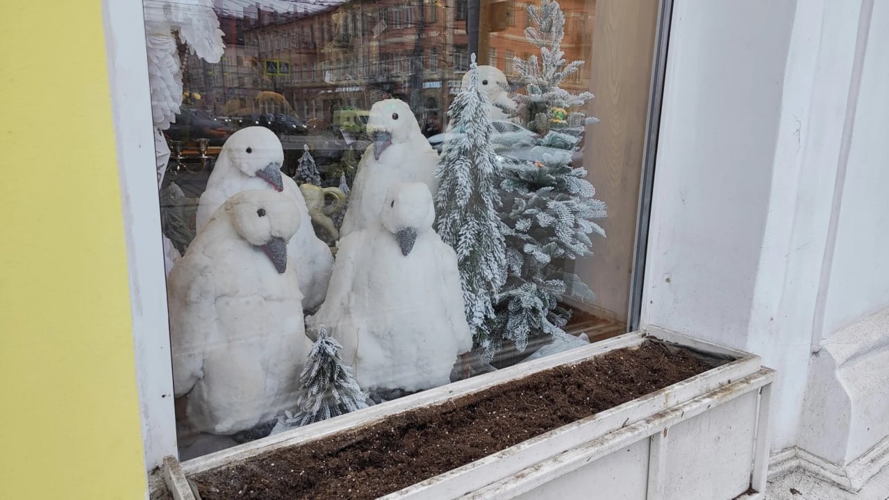 Вот так незаметно к нам подкралась зима Вот так незаметно к нам подкралась зима