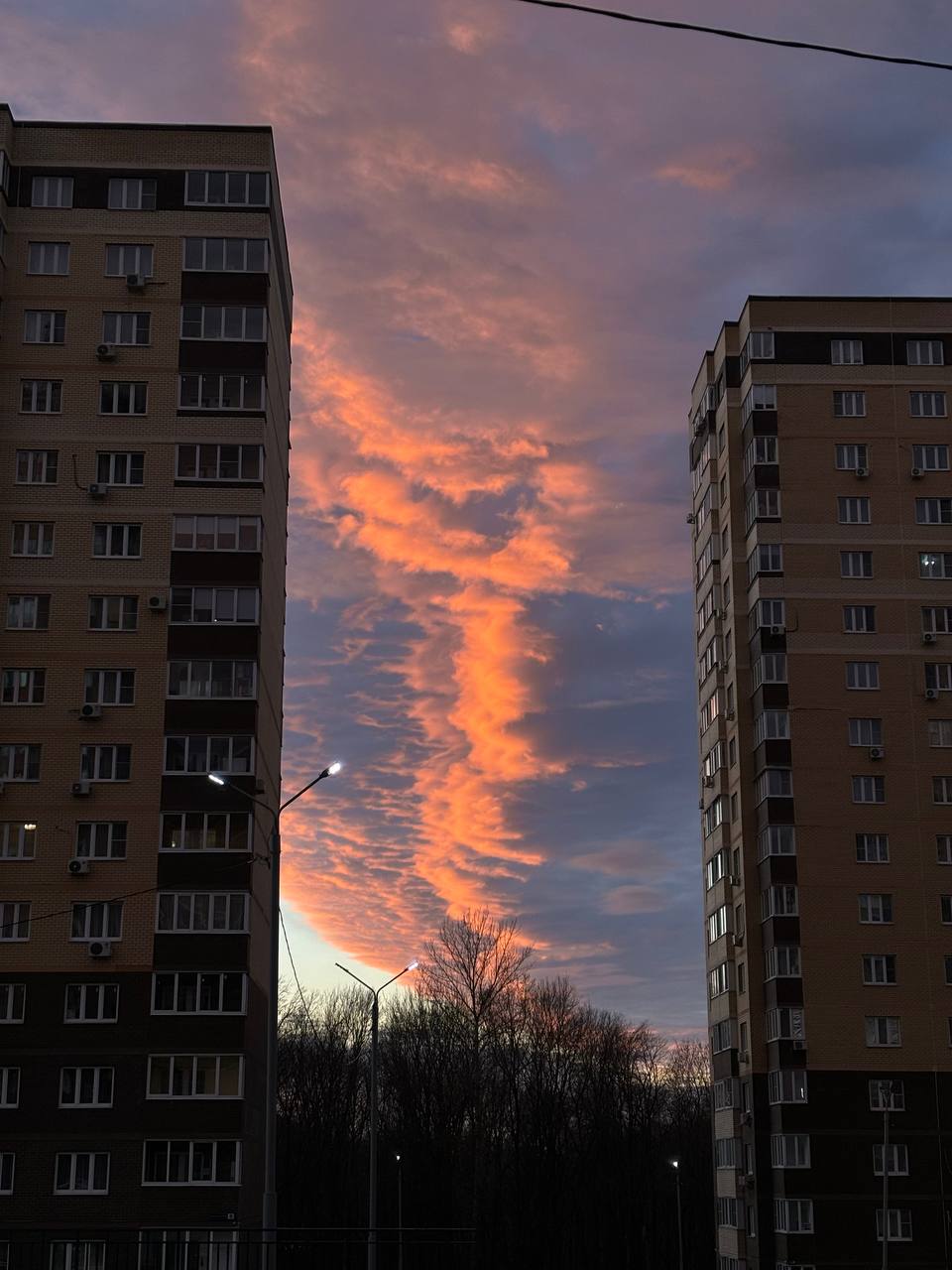 Последний теплый выходной осени подарил городу ярко-красное небо — ленты заполнили кадры алого заката Последний теплый выходной осени подарил городу ярко-красное небо — ленты заполнили кадры алого заката