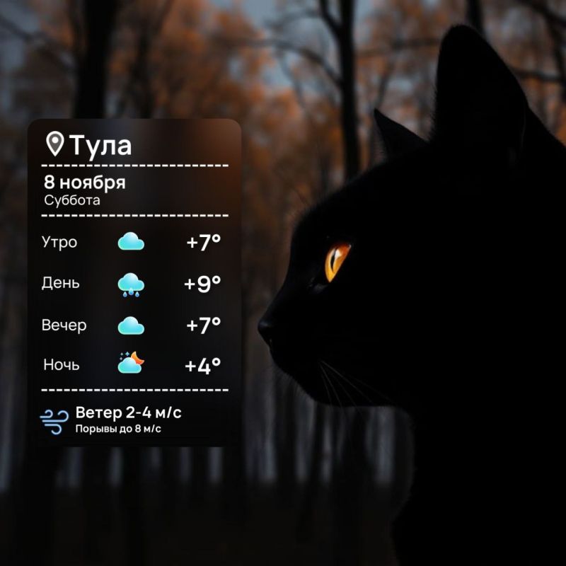 Доброе утро. Наш черный кот, который дорогу вам не перебегал (а вообще у него лапки белые), желает всем отличных выходных!