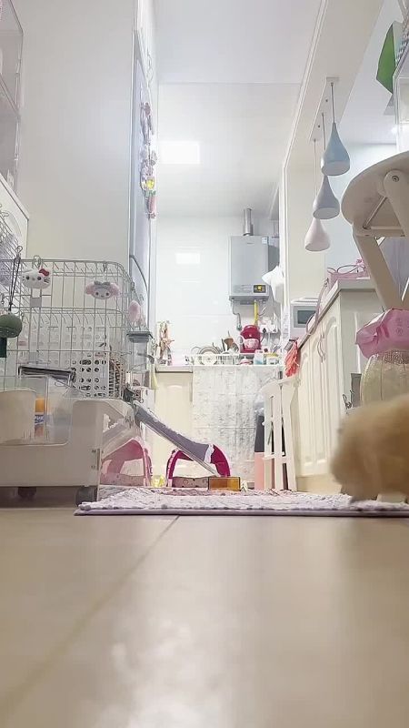 Посмотрите и распространите, это сейчас важно