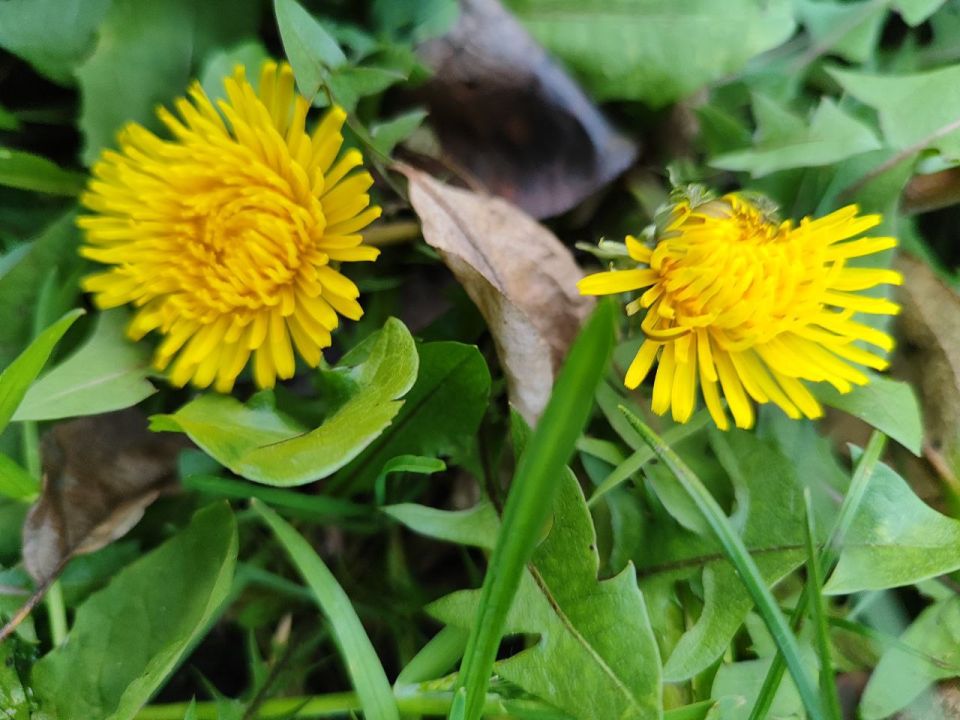 Ноябрь в Туле, как вторая весна