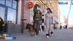 В Госдуме предлагают запретить животным находиться в кафе и магазинах