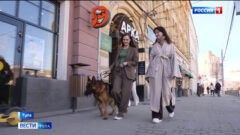 В Госдуме предлагают запретить животным находиться в кафе и магазинах