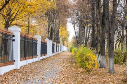 На предстоящей рабочей неделе туляков ожидает теплая погода