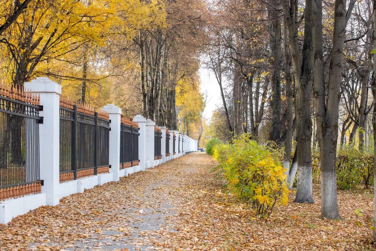 На предстоящей рабочей неделе туляков ожидает теплая погода